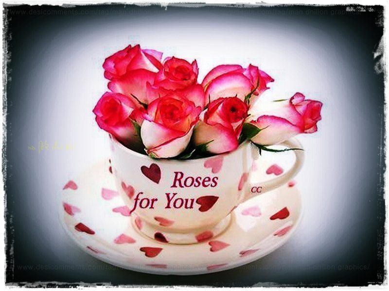 Roses for you - DesiComments.com