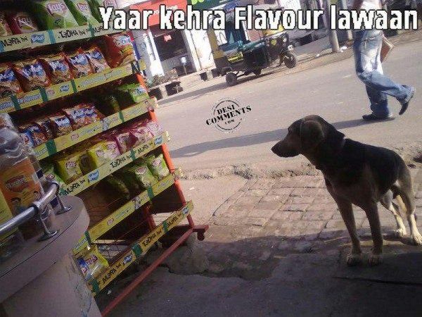 Yaar kehra flavour lawaan