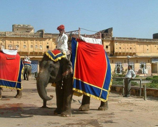 Jaipur Amber Fort