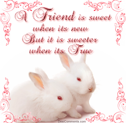 A Friend Is Sweet When It’s New…