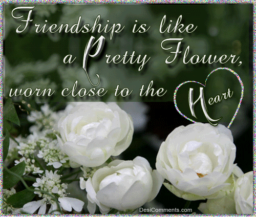 Friendship Is Like A Pretty Flower