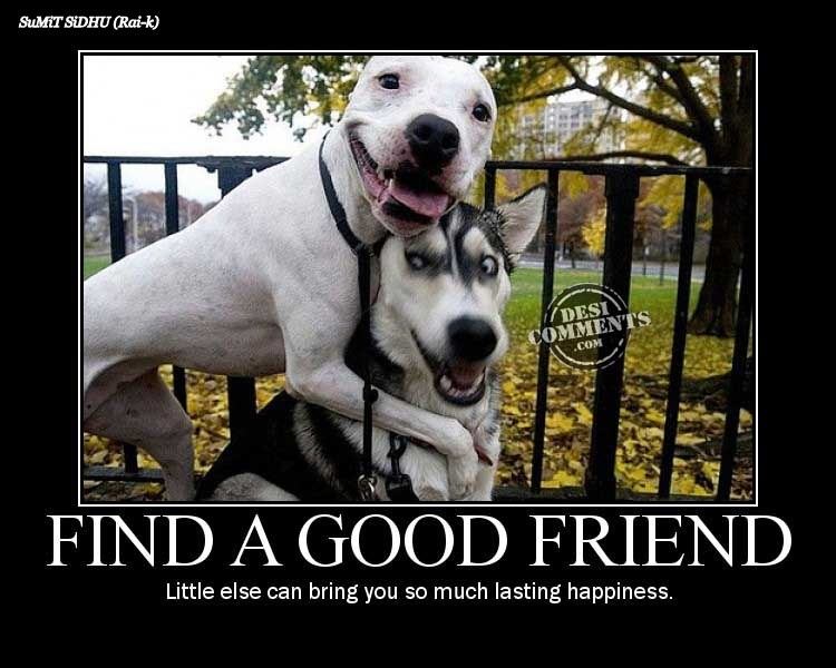 Find a good friend - DesiComments.com