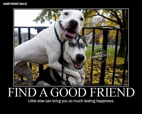 Find a good friend