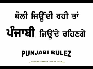 Punjabi Rulez