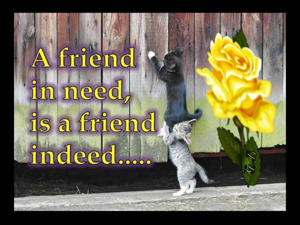 A friend in need is a friend indeed