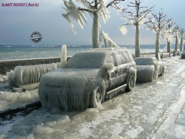 Cars covered in ice