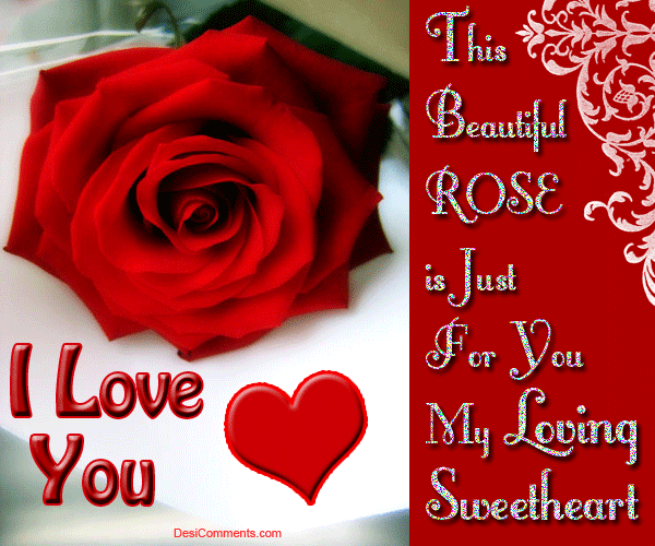 This Beautiful Rose Is Just For You