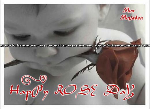 Happy Rose Day