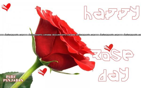 Happy Rose Day