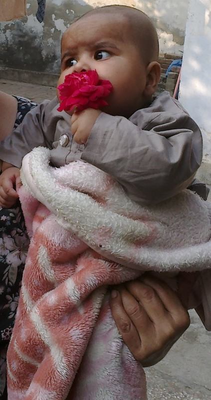 Baby with a red rose