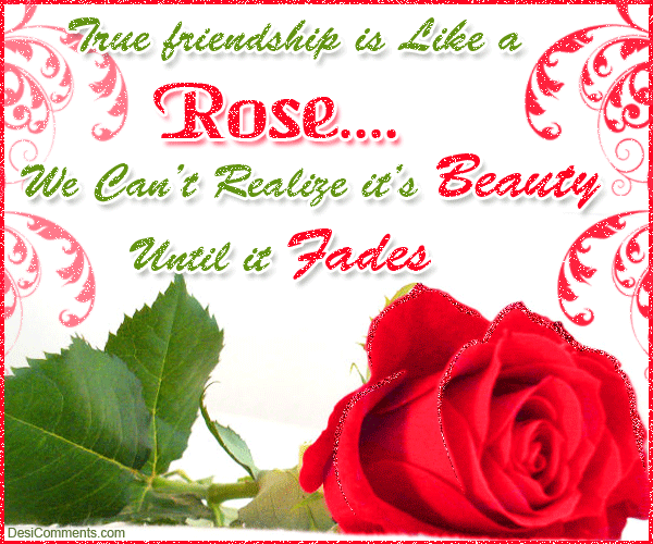 True friendship is like a rose