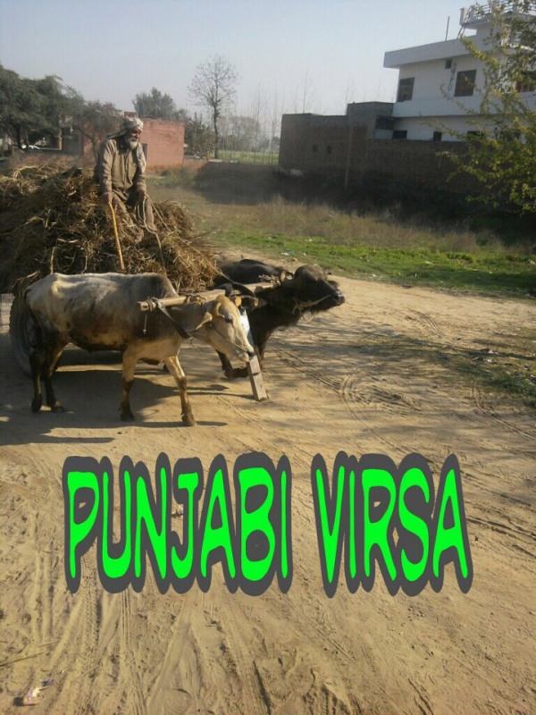 Punjabi Virsa