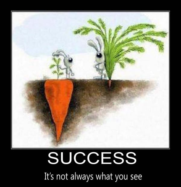 Success is not always what you see