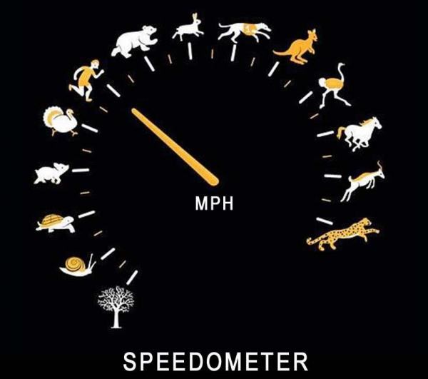 Speedometer of natural beings