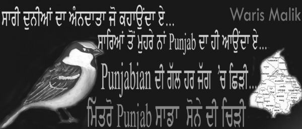 Punjab Sone Di Chirhi