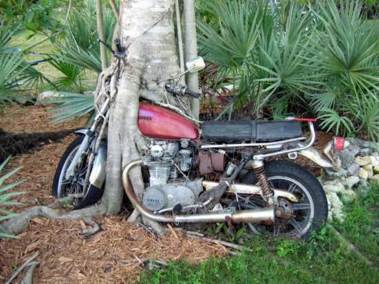Funny Motorcycle