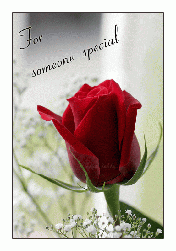 For Someone Special