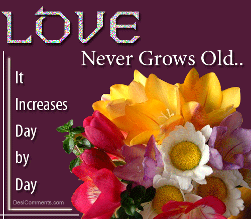 Love Never Grows Old