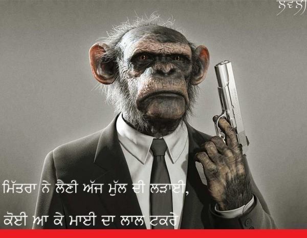 Desi Monkey