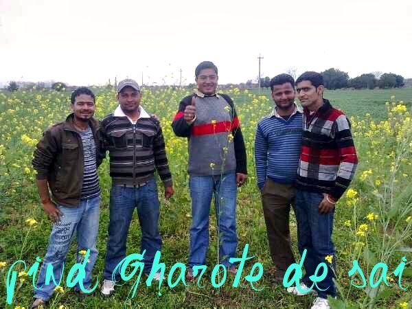 Desi Boys