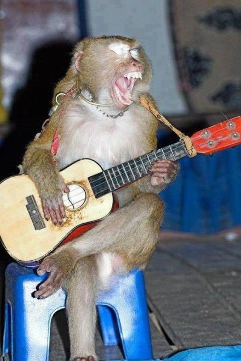 Singing Monkey