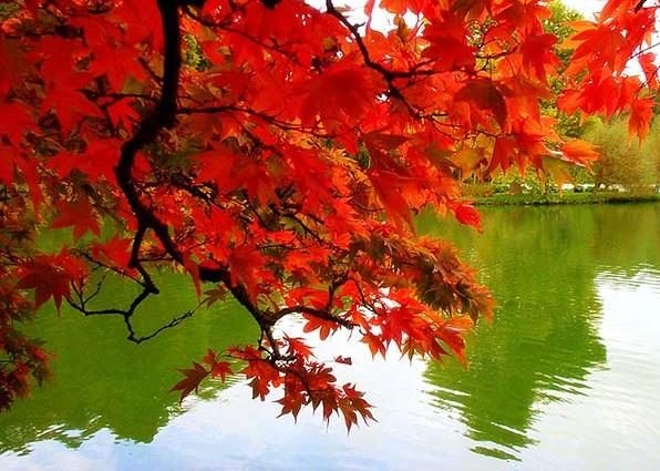 Wonderful Autumn Image