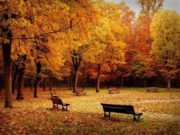 Autumn in the park