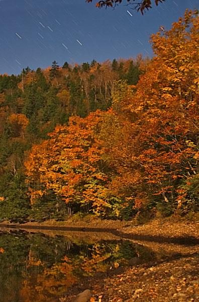 Autumn Evening