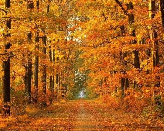 Have a blessed autumn season