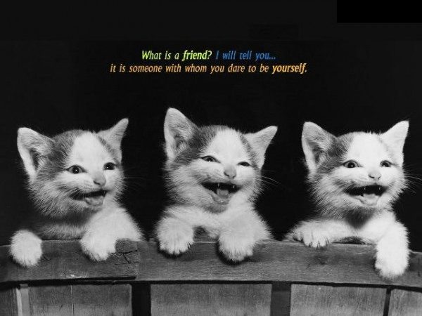 Beautiful pic