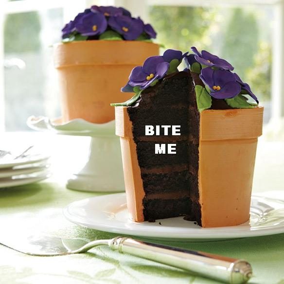 Bite me flower pot cake