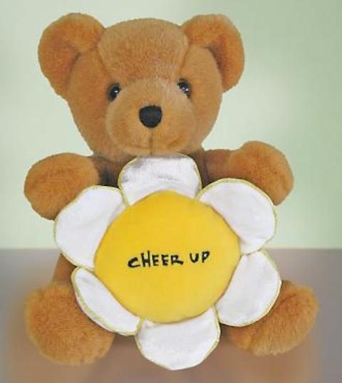 Cheer up teddy