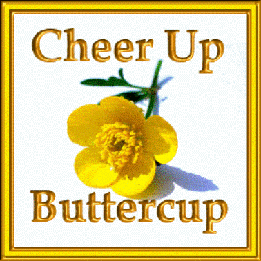 Cheer up buttercup