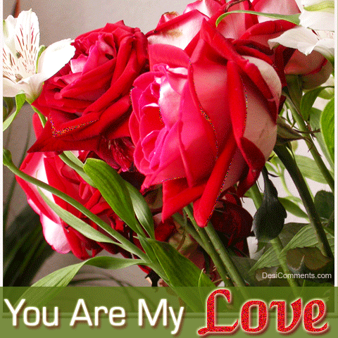 You Are My Love