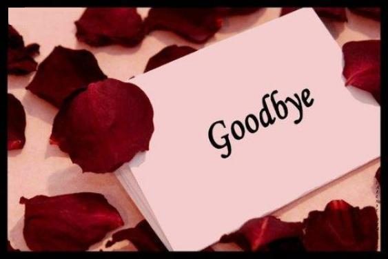 Good bye my love