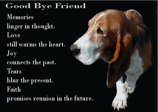 Good bye friend