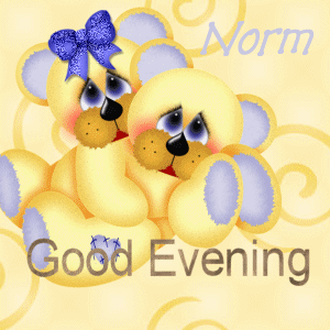 Good evening bears