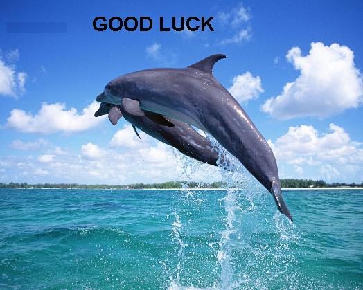 Good luck