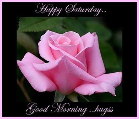 Good Morning & Happy Saturday