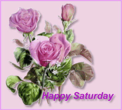 Twinkling saturday graphic