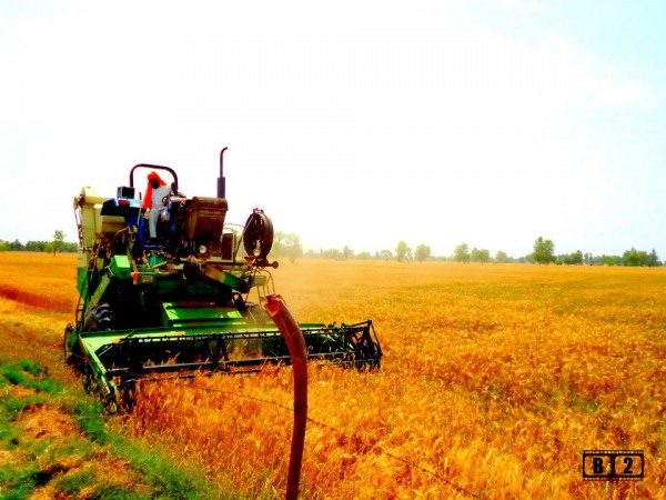 Combine Harvesting