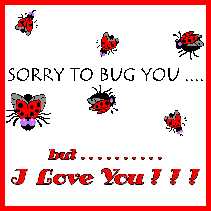 Sorry to bug you