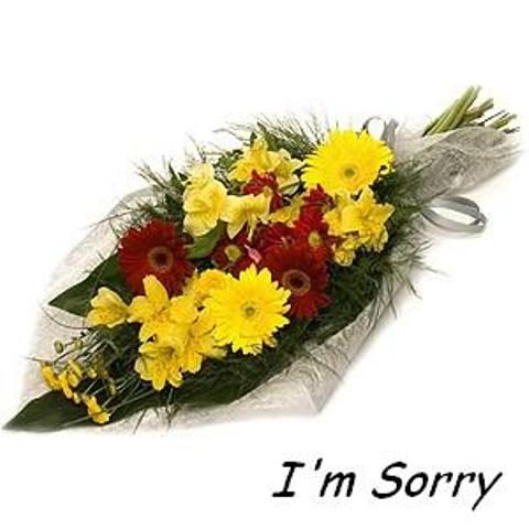 Sorry with flowers graphic