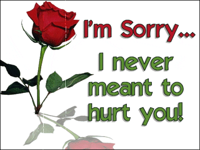 I am sorry I never meant to hurt you