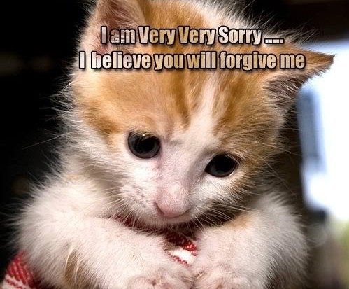 I believe you will forgive me