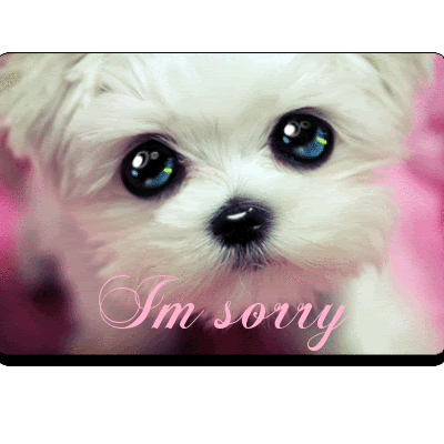 Animated sorry pic