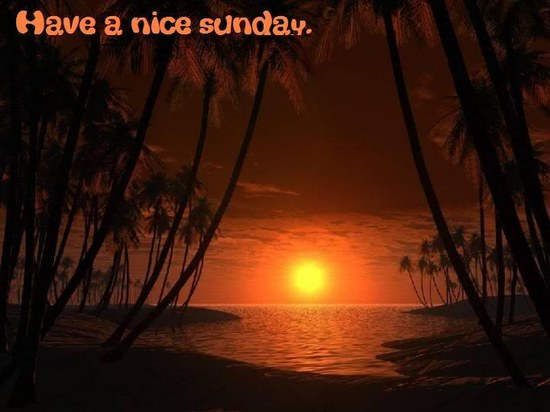 Have a nice sunday