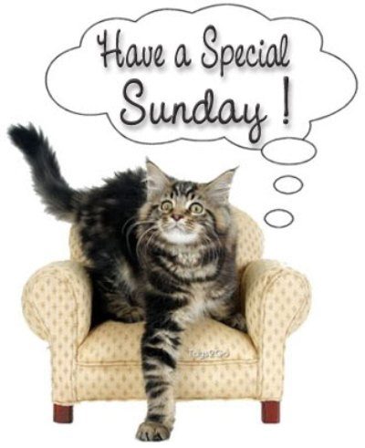Have a special sunday
