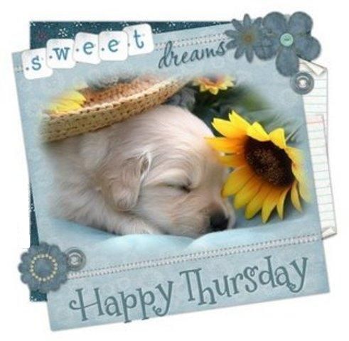 Happy thursday & sweet dreams