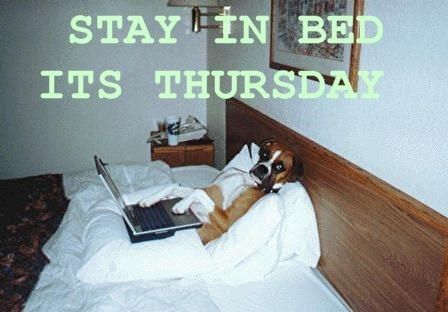 Stay in bed Its thursday